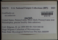 Image Associated With the Occurrence